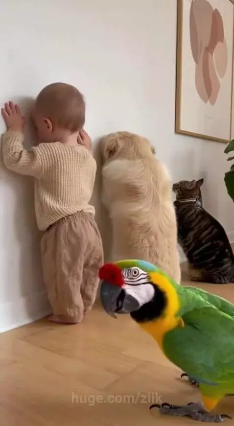 Ain't nobody innocent by ziik