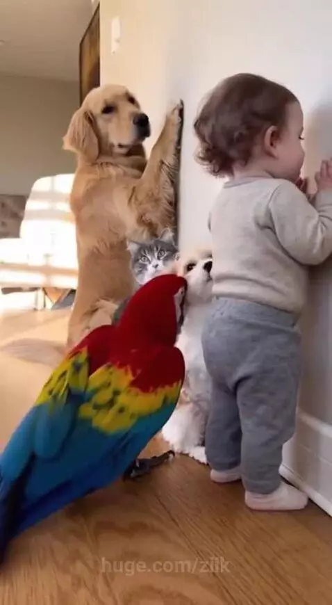 The chocolate crime 😂😂 by ziik