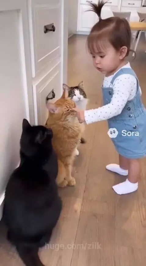 Ain't anyone of them innocent 😂 by ziik