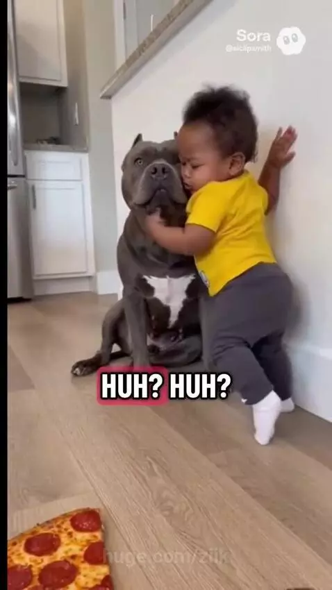 Little man is a Bully 😅😭😅 by ziik