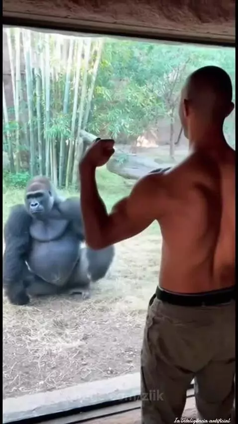 Shirtless man flexes bicep, gorilla in enclosure stands and mimics the pose.