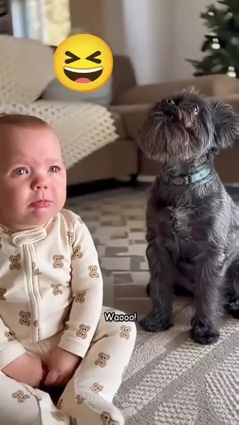 Baby sitting on a rug next to a shaggy dog, appearing to mimic its howl.