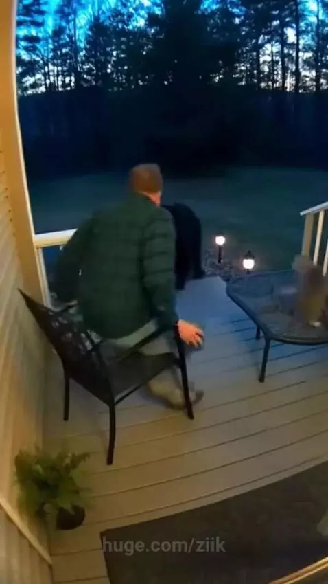A cat hissing and swatting at a black bear on a porch, protecting a man.