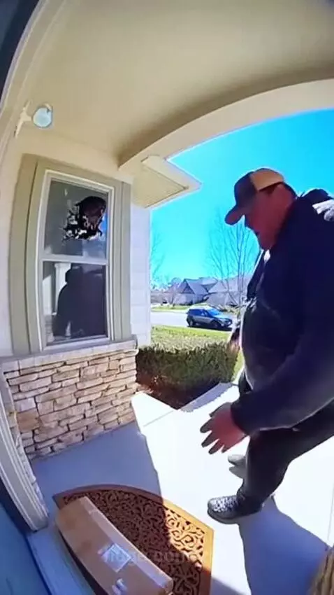 Dog aggressively barking and jumping through a closed window towards a delivery person.
