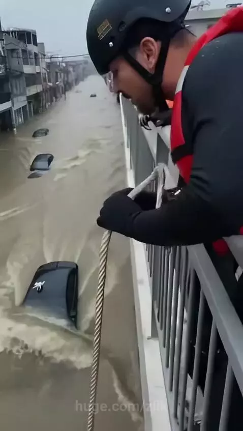 Rescuer gently holding a white cat after saving it from floodwaters.
