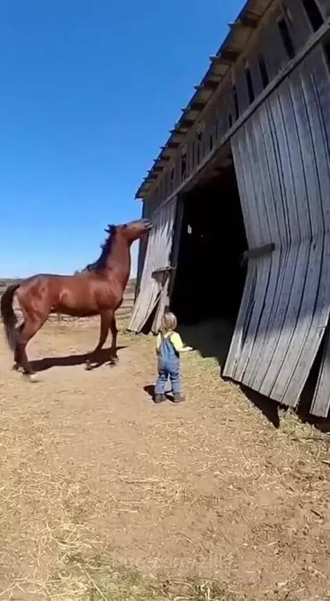 Brown horse stands protectively in front of a young boy near a partially collapsed wooden barn.