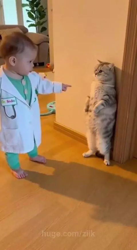 Baby dressed as a doctor with a stethoscope points a finger sternly at a tabby cat.