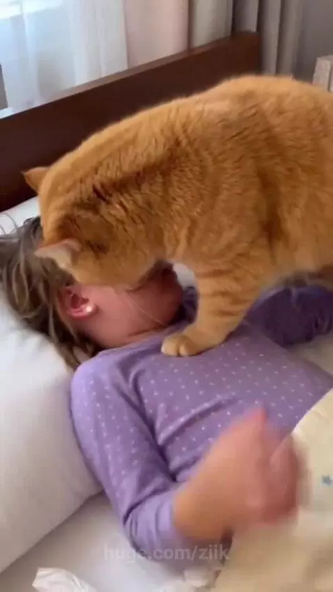 A young girl in bed with a compress on her forehead is comforted by an orange cat gently nudging her.
