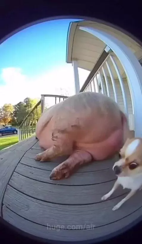 Brr nearly died 🥲😅😅 by air