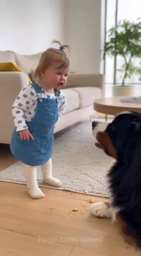 Bossy? I like 🤭 by speed