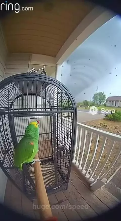 Bro at least try to fly away 😂 by speed