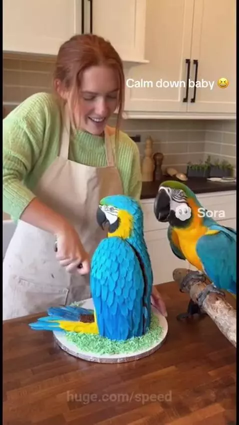 It's a cake sir 😅 by speed