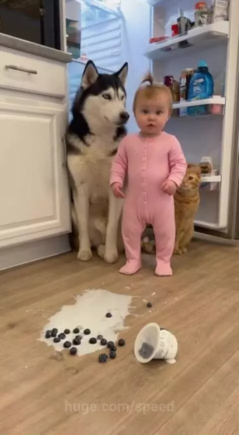 Naaah don't snitch on the little baby 😂😂 by speed