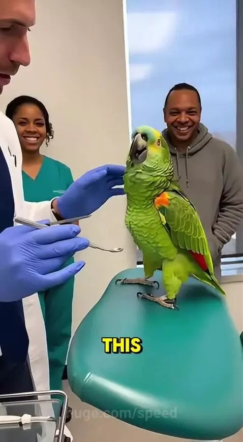 Creepy Uncle 😂 by speed