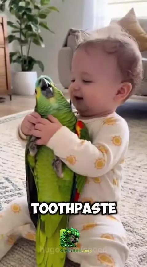 Why is parrot scared of his life? 😂 by speed