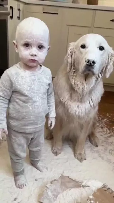 Why are they both looking Innocent?? 😂😂 by speed