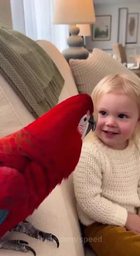 Teaching gone wrong 😂 by speed