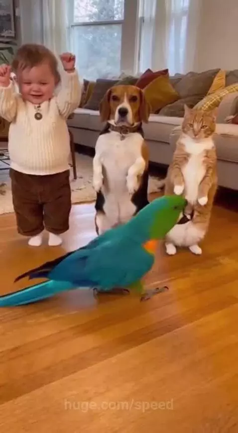 Ain't nobody innocent by speed