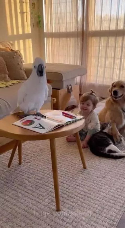 Teacher Babagai loses control 😂 by speed