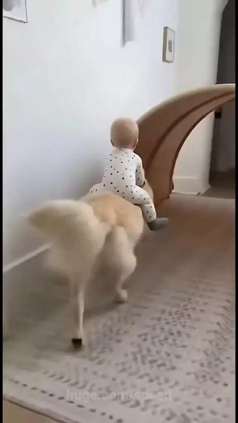 Look at this Baby ❤️❤️ by speed