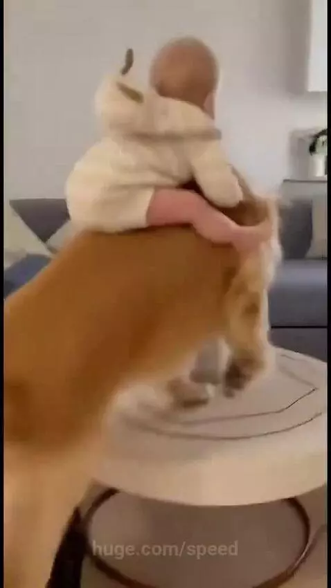 Look at this Baby ❤️❤️ by speed