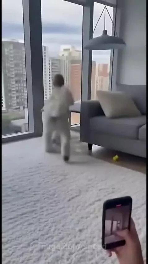 Look at this Baby ❤️ ❤️ by speed