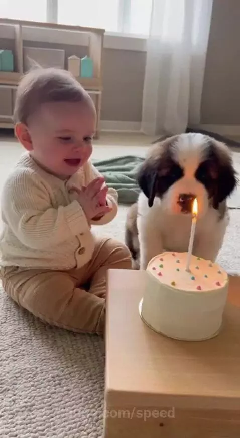 This is the cutest ❤️❤️ by speed