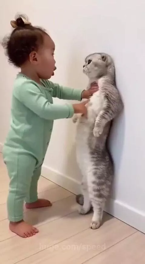 No more meow meow anymore, strict baby 😂😂😪 by speed