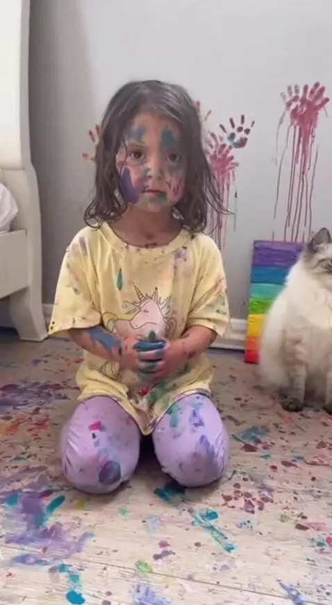 Cats definitely needs a Lawyer 😂, Doesn't he? by speed