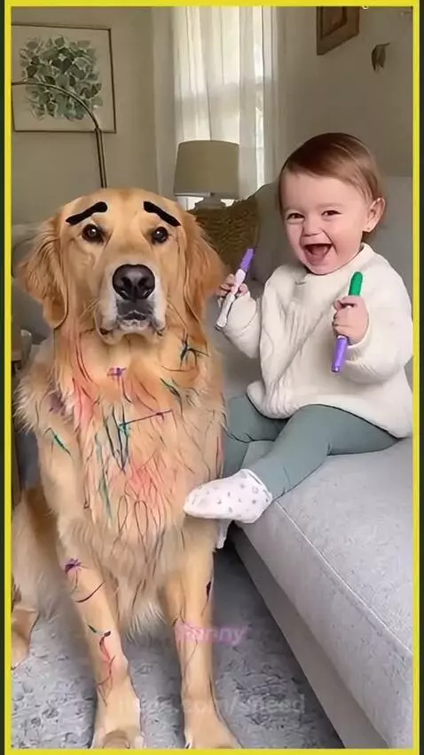 DOGO had no choice 😂😂 by speed