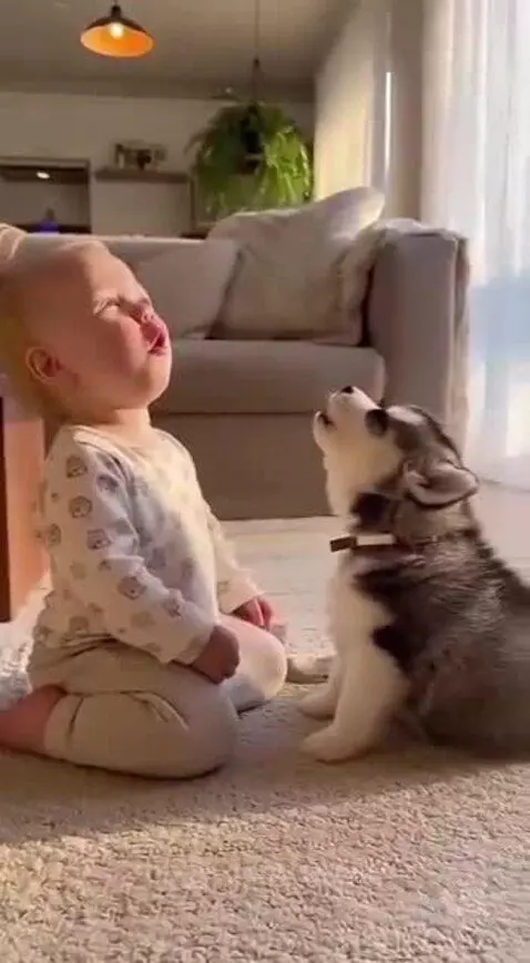 This is love ❤️ by speed