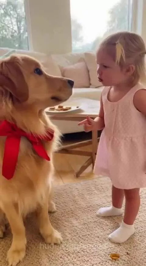 Bossy kids, DOGO Is in a Big mess by speed