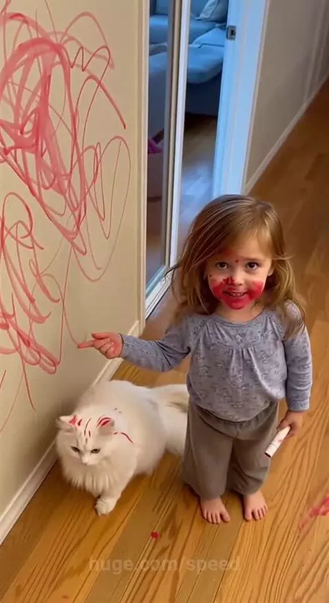 Kitty needs a lawyer by speed