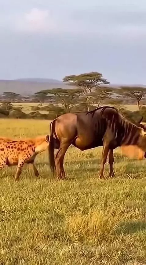 Brr went off, immediately 😅 by speed