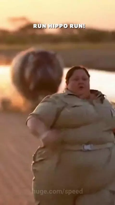 Two Hippos 😂😂 by speed