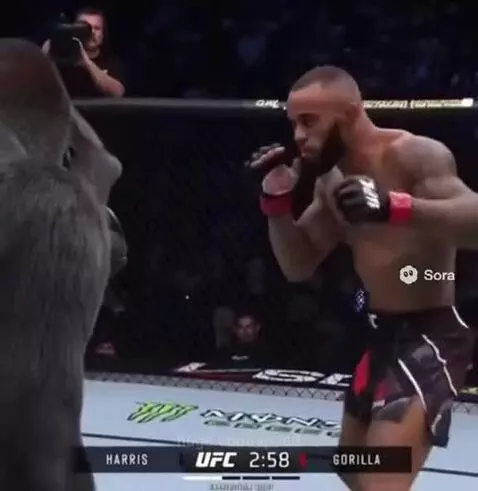 Gorilla got hin wrapped up😂 by speed