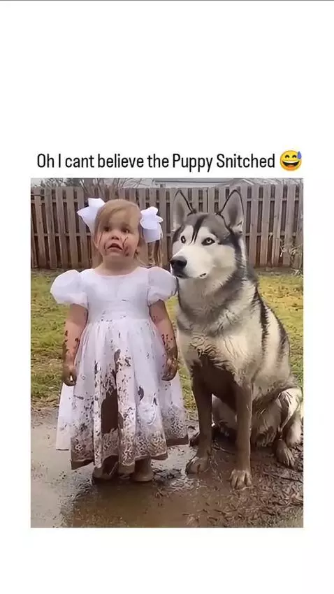 Muddy girl and husky dog in a backyard, dog lifts paw as if snitching.
