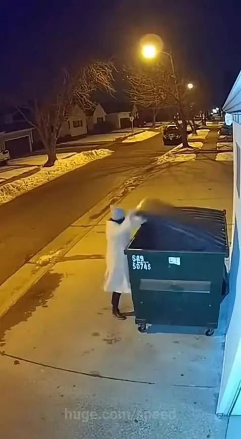 Person in white suit startled by tiger jumping out of a dumpster at night under a streetlamp.