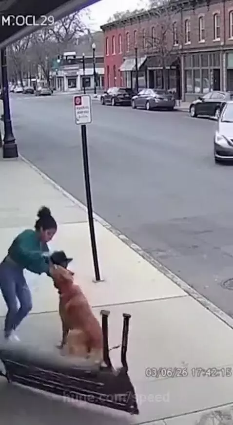 A dog pulling a woman away from a car that has swerved onto a sidewalk.