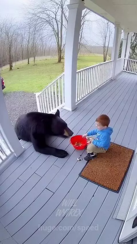 The Bear only just wanted to eat with the baby...lol by speed