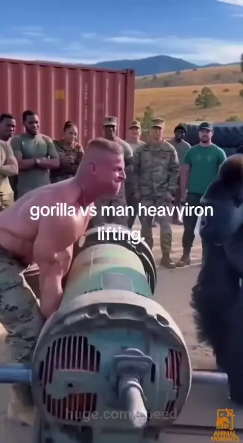 Man in gorilla suit lifts a heavy industrial object over his head effortlessly, surprising onlookers in military uniforms.