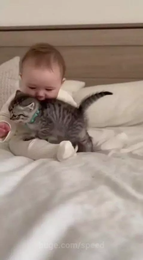 A baby in a cream outfit gently touching a striped kitten on a white bed.