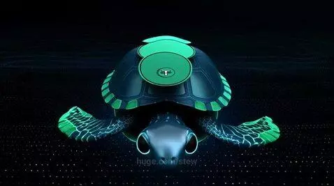 Turtle Carrying Tether USD Tokens by stew
