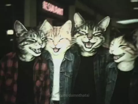 VHS Cats by damnthatai