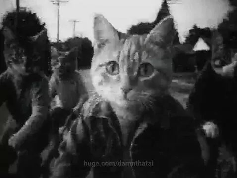 video poster