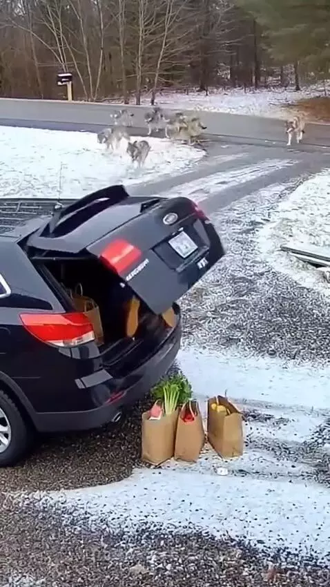 Her quick reflexes just saved her by daniel