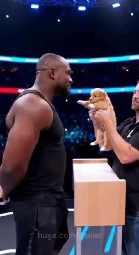 Tiny heavy slap by daniel