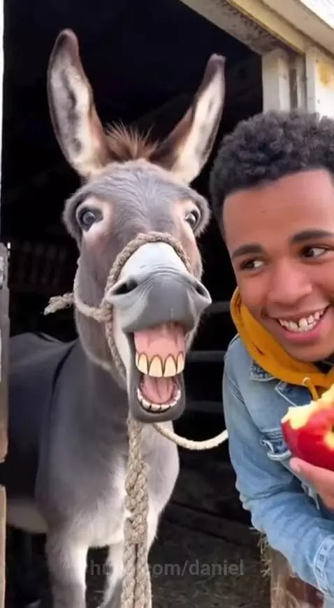 Young man with a donkey in a barn doorway, the donkey has a filter making its teeth look human-like.
