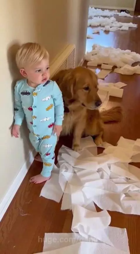 Child in blue pajamas and a golden retriever sit amidst torn toilet paper, resembling a snow mess.