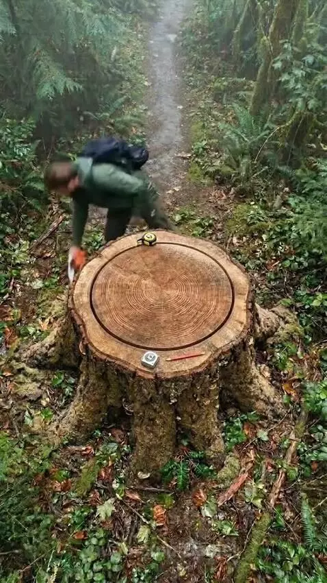 Man inside a finished underground room built into a tree root, with a fireplace and bed.